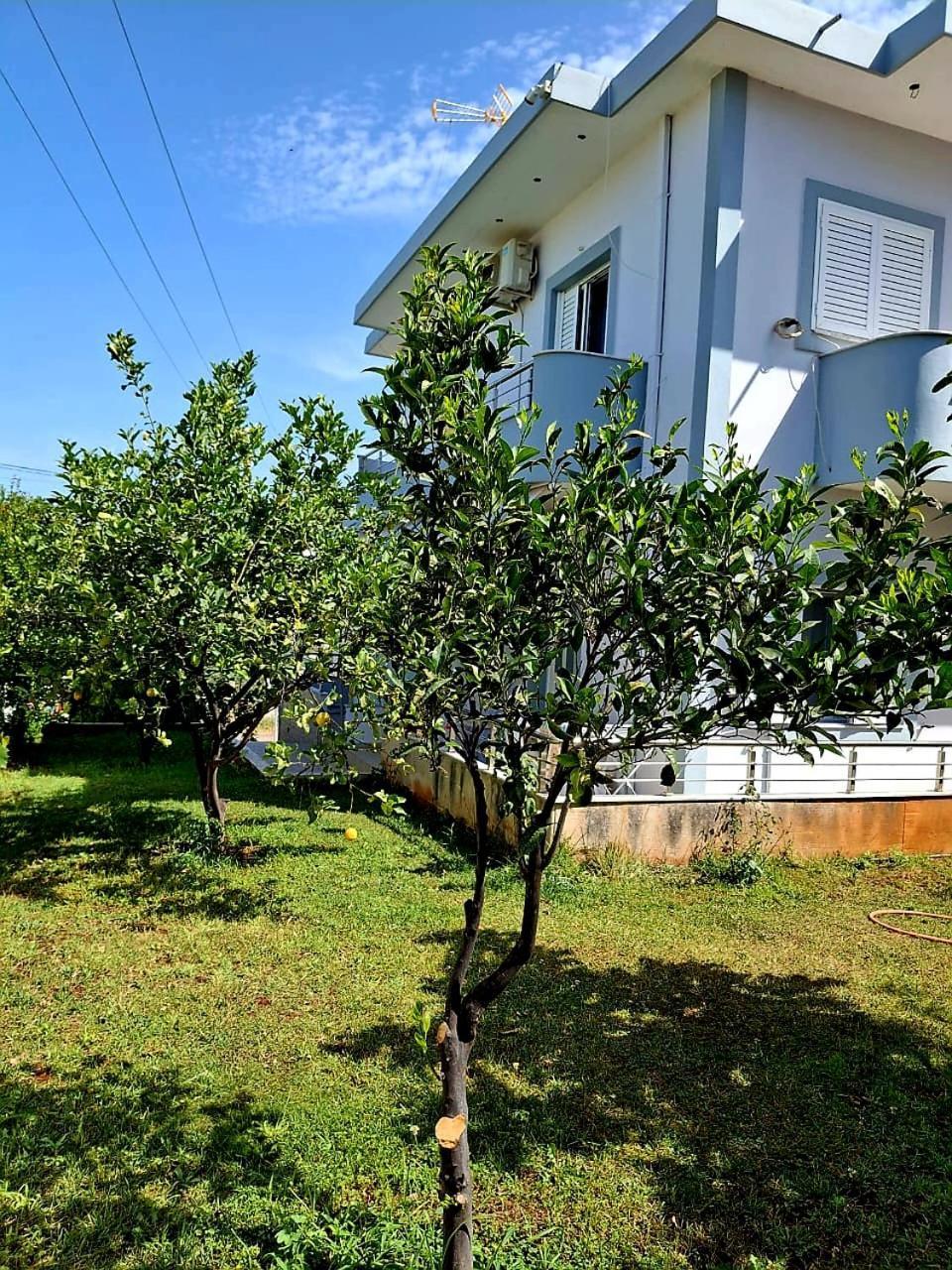 Myksamil Apartments Bagian luar foto